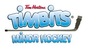 https://100mileminorhockey.com/wp-content/uploads/sites/222/2024/11/Timbits-Hockey.jpg